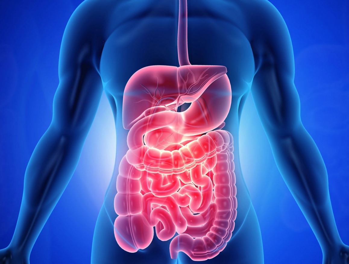 Maladie de Crohn et Cabinet Dentaire
